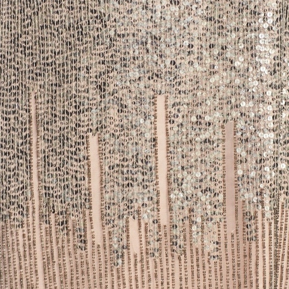 NWT Adrianna Papell Illusion Yoke Beaded Sheath Size 4 - Picture 2 of 3